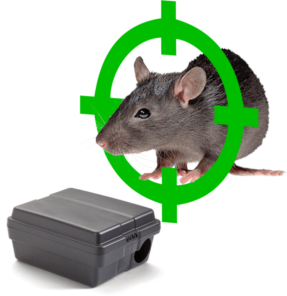 Exterminación de plagas (Decorativo)