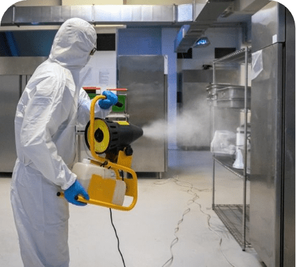 Exterminación de plagas (Insectos)